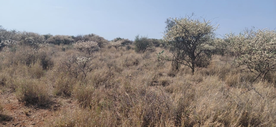 Commercial Property for Sale in Douglas Rural Northern Cape